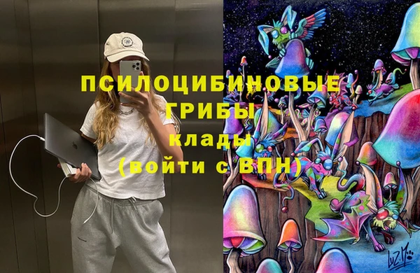 меф Богородск