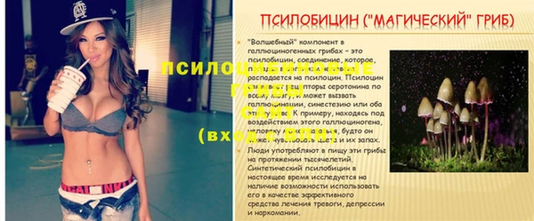 меф Богородск