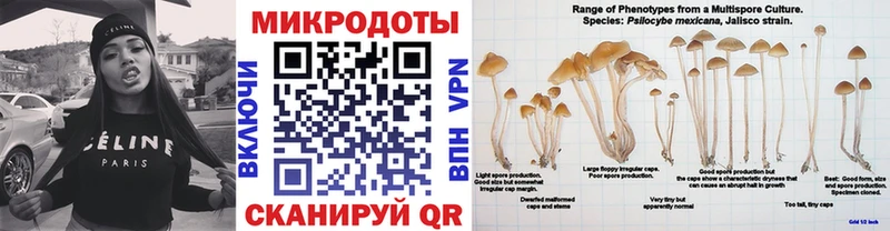 Псилоцибиновые грибы мухоморы  Шумиха 