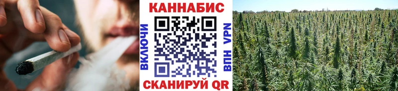 Шишки марихуана план  купить наркоту  Шумиха 
